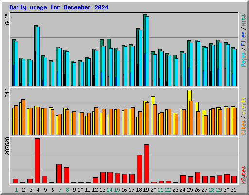 Daily usage for December 2024
