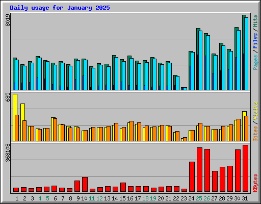 Daily usage for January 2025