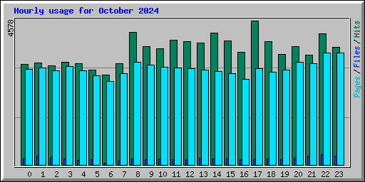 Hourly usage for October 2024