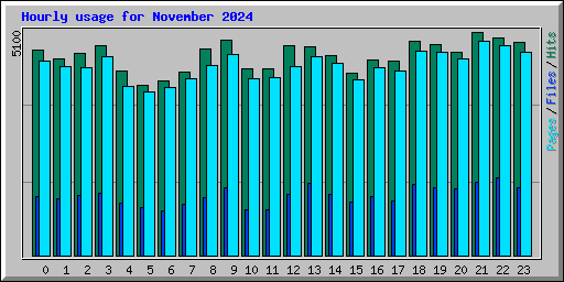 Hourly usage for November 2024