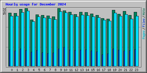 Hourly usage for December 2024