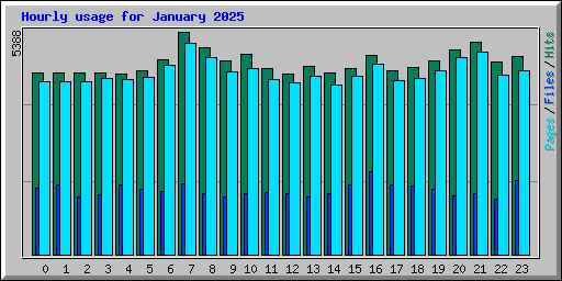 Hourly usage for January 2025
