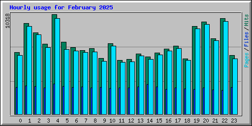 Hourly usage for February 2025