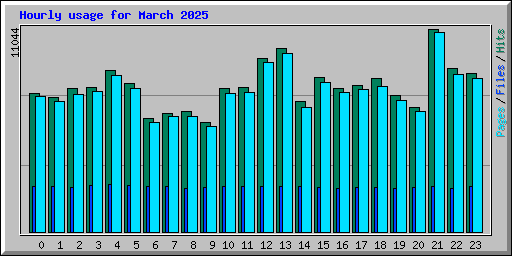 Hourly usage for March 2025