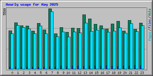 Hourly usage for May 2025