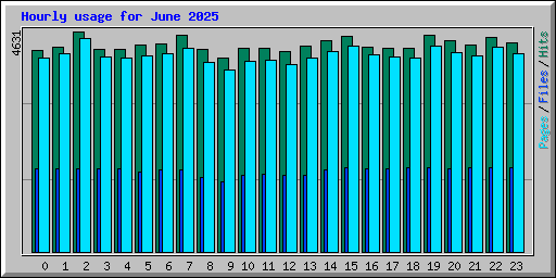 Hourly usage for June 2025