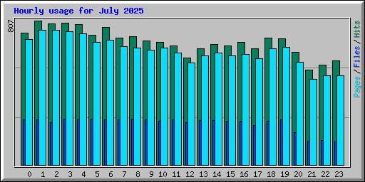 Hourly usage for July 2025