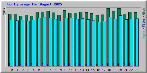 Hourly usage for August 2025